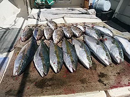 大物釣果速報！●光義丸：平戸市早福港