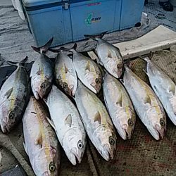 大物釣果速報！●光義丸：平戸市早福港