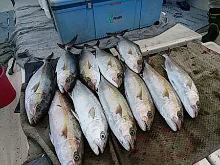 大物釣果速報！●光義丸：平戸市早福港