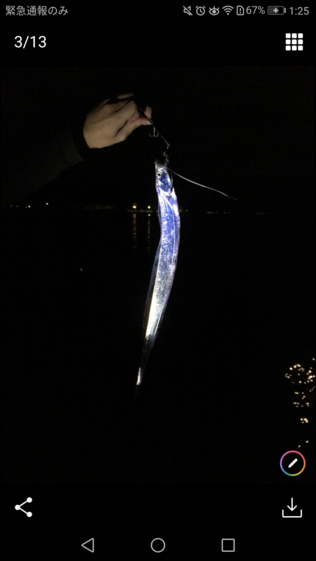 タチウオ釣り最高！！