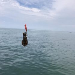 南大阪で秋イカエギング開幕？