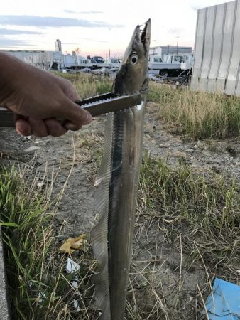 ルアーでは当たりが渋い