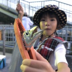 太刀魚だらけ