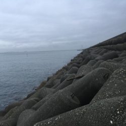 昨年は、釣れなかったのに！