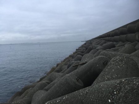 昨年は、釣れなかったのに！