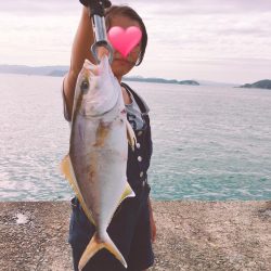 青物初心者でも♪