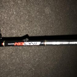 イカ釣れず、タチウオ