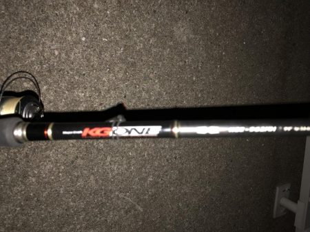 イカ釣れず、タチウオ