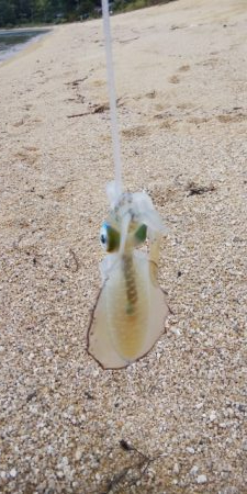 雨の合間の釣行