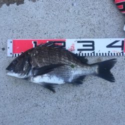 今週も好調！雨上がり６尾ゲット！！