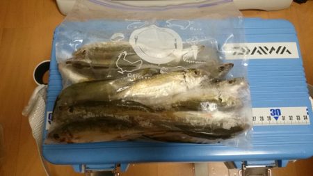 タチウオとアジ