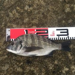 台風通過後の週末、雨の中を釣行！