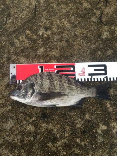 台風通過後の週末、雨の中を釣行！