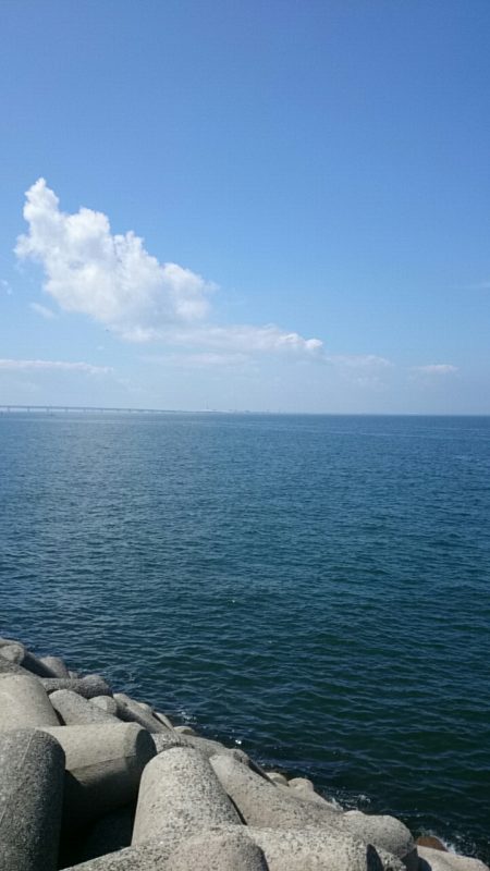 今週もタチウオ