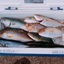 県南ライトジギング