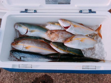 県南ライトジギング