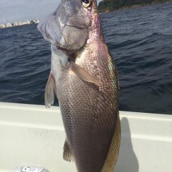 ２日目の大津港