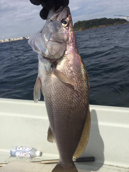２日目の大津港