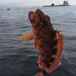 初の船外機ボート釣り