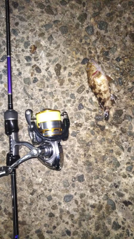 久々のライトゲーム　18:30~20:10