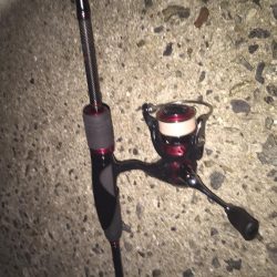 タチウオは撃沈でしたが・・・・。