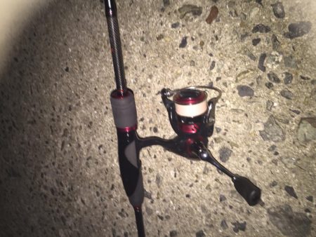 タチウオは撃沈でしたが・・・・。