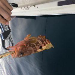 朝短時間フィッシング