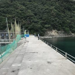 今年はだめだぁ