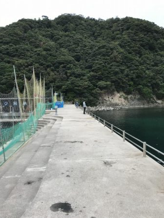 今年はだめだぁ