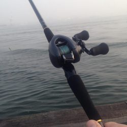 どじょう強し！