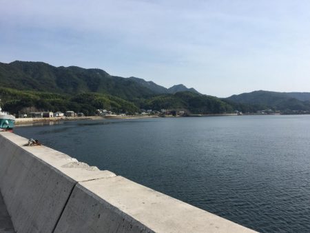 今年初タチウオ