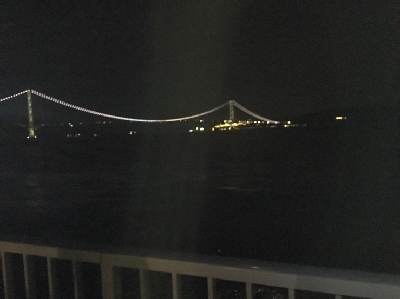 青物とタチウオ狙いに