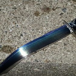 今年はタチウオ良さそう