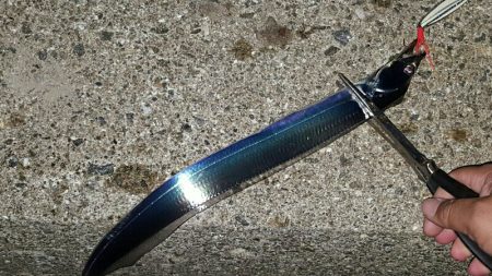 今年はタチウオ良さそう