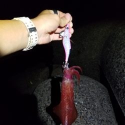 無風来たぁーーー！