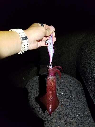 無風来たぁーーー！