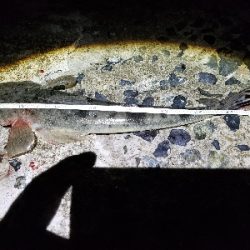 厚東川河口にて