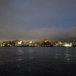 久しぶりに来ました。