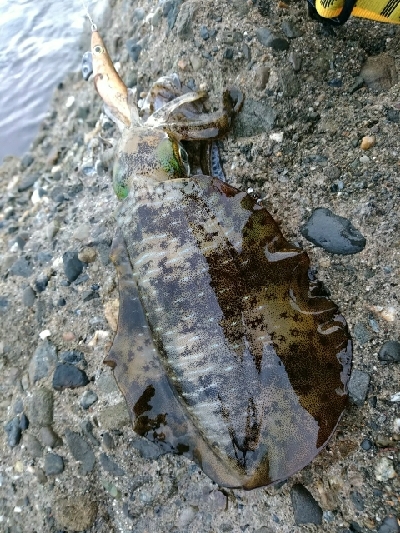 幸先のいいスタート