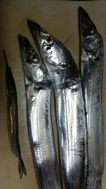 タチウオジャンプ