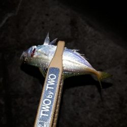 おひさの淡路島キャンプ