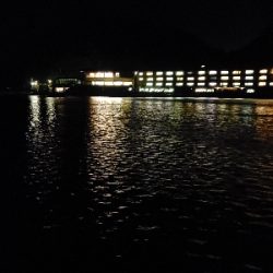 夜からアオリイカ調査