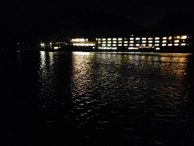 夜からアオリイカ調査