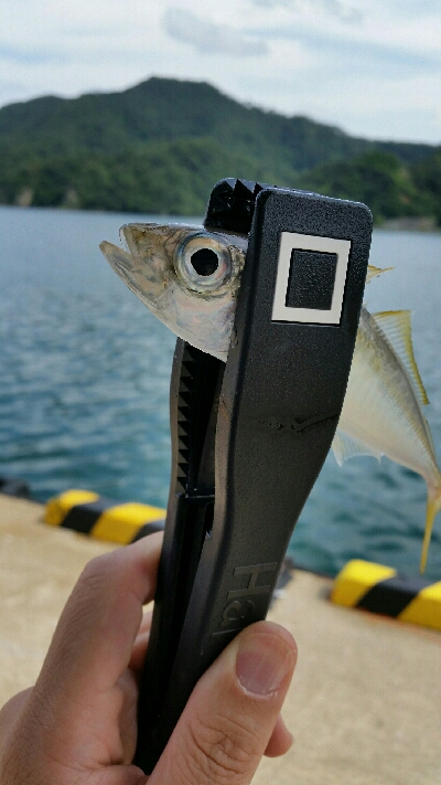 香住アジング遠征No2