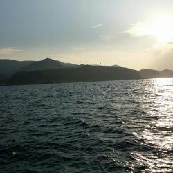 すさみで釣りしてきました