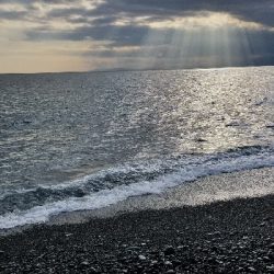 ちょっと残念なカワハギ釣り