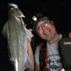 サバのなかのシーバス