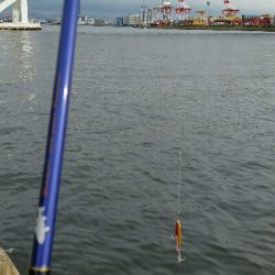 舞洲ショアジギング