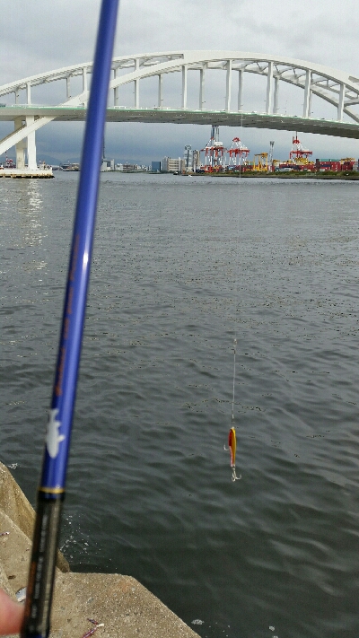 舞洲ショアジギング