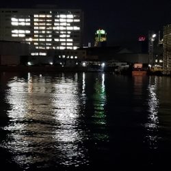 太刀魚はどこに？